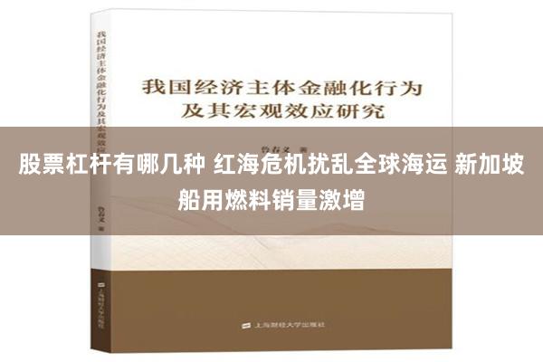 股票杠杆有哪几种 红海危机扰乱全球海运 新加坡船用燃料销量激增