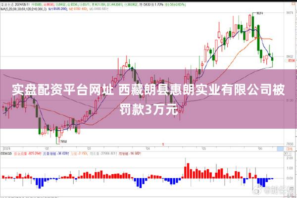 实盘配资平台网址 西藏朗县惠朗实业有限公司被罚款3万元