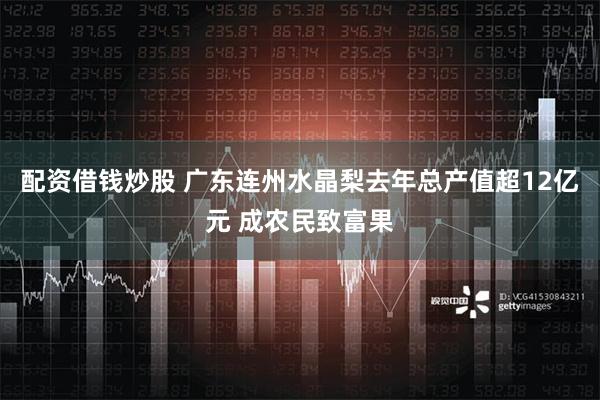 配资借钱炒股 广东连州水晶梨去年总产值超12亿元 成农民致富果