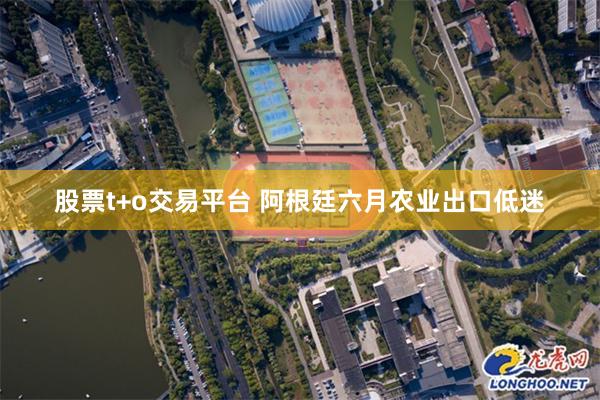 股票t+o交易平台 阿根廷六月农业出口低迷