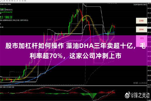 股市加杠杆如何操作 藻油DHA三年卖超十亿，毛利率超70%，这家公司冲刺上市