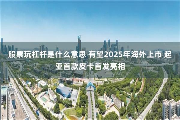 股票玩杠杆是什么意思 有望2025年海外上市 起亚首款皮卡首发亮相