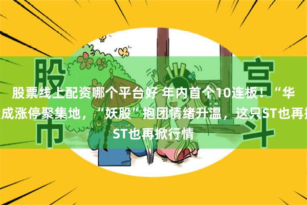 股票线上配资哪个平台好 年内首个10连板！“华”字股成涨停聚集地，“妖股”抱团情绪升温，这只ST也再掀行情