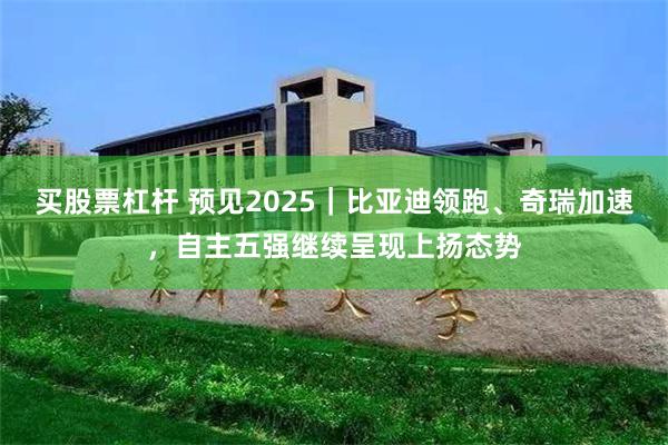 买股票杠杆 预见2025｜比亚迪领跑、奇瑞加速，自主五强继续呈现上扬态势